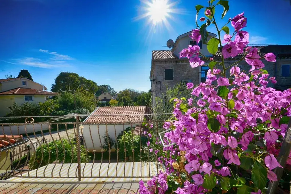 Sonja Vacation House