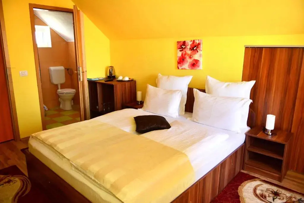 Pensiunea Anita - Chambres