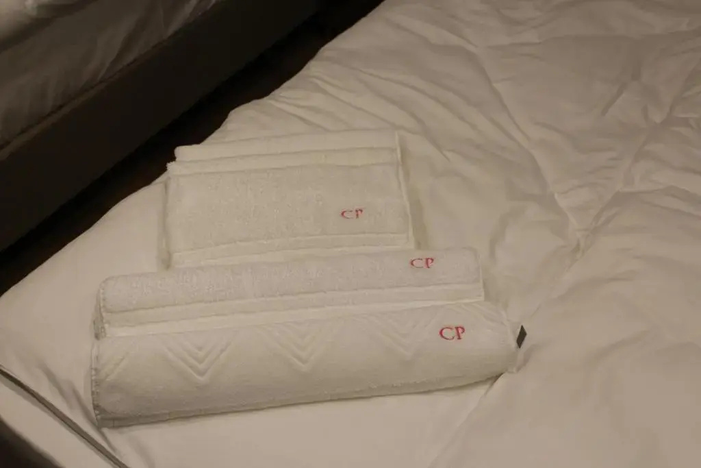 City Palace Hotel - Chambres