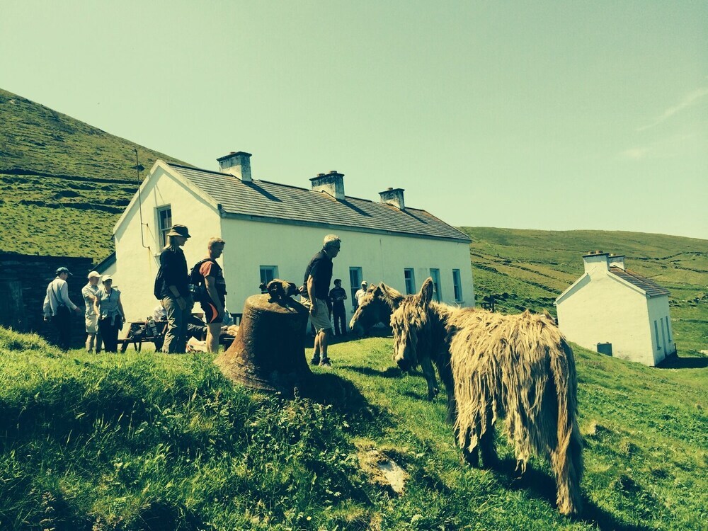 Great Blasket Island by null
