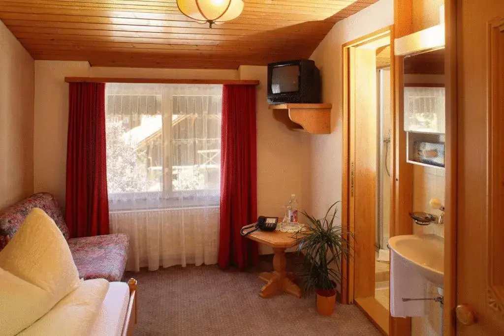 Schutzen Lauterbrunnen - Chambres