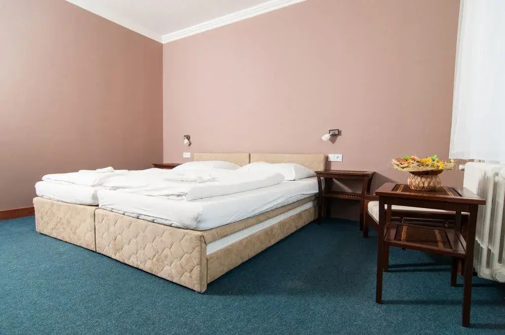 Hotel Radejov - Général