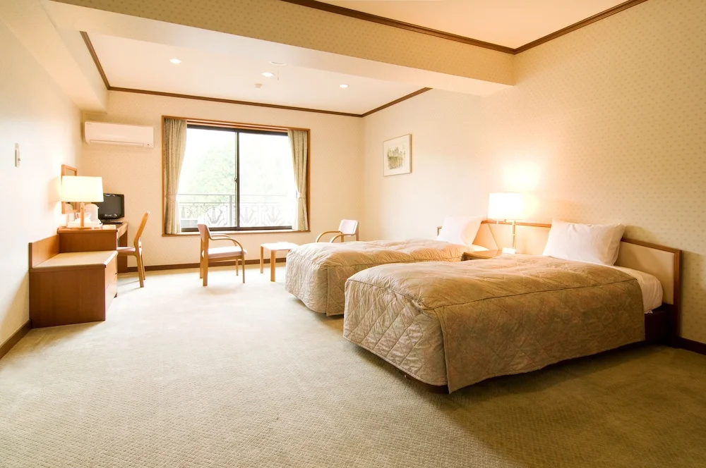 Standard Double room with balcony (twin beds)