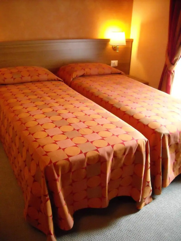 Standard Double room (twin beds)