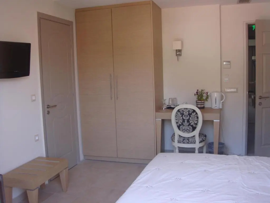 Standard Double room with mountain view (full double bed)