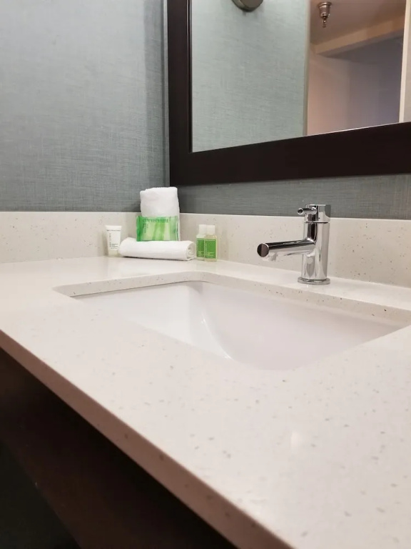 Holiday Inn Youngstown South by IHG - Chambres
