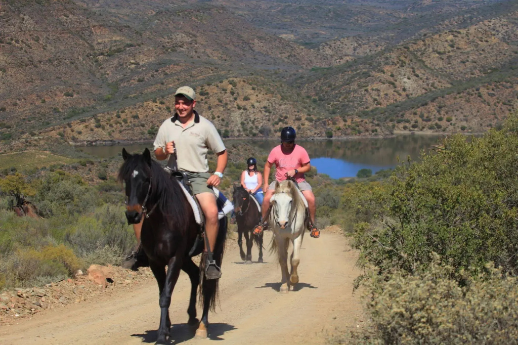 Madi-Madi Karoo Safari Lodge