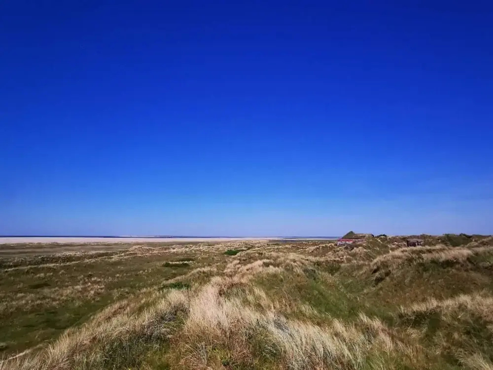 Homely Holiday Home in Jutland near Sea