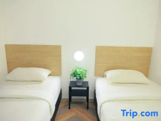 Classic Double room (twin beds)