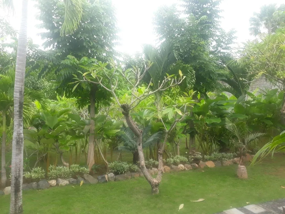 Pondok Wisata Sartaya 2 - Général