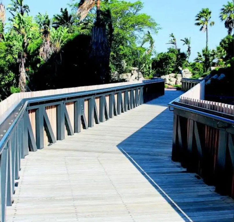 101 Nine palms
