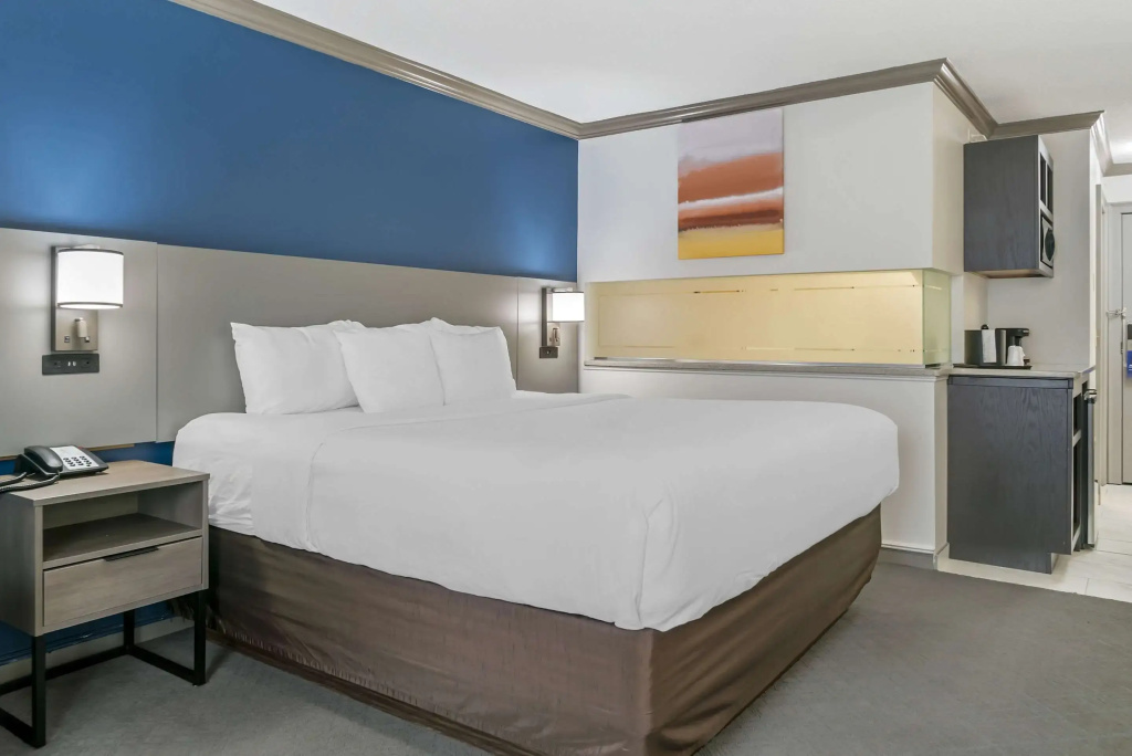 Standard Double room (full double bed)