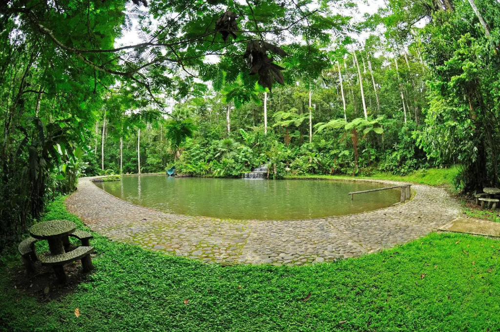 Hotel Hacienda Sueno Azul - Général
