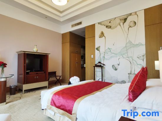 Студия Standard в Xincheng Hotel - Hohhot