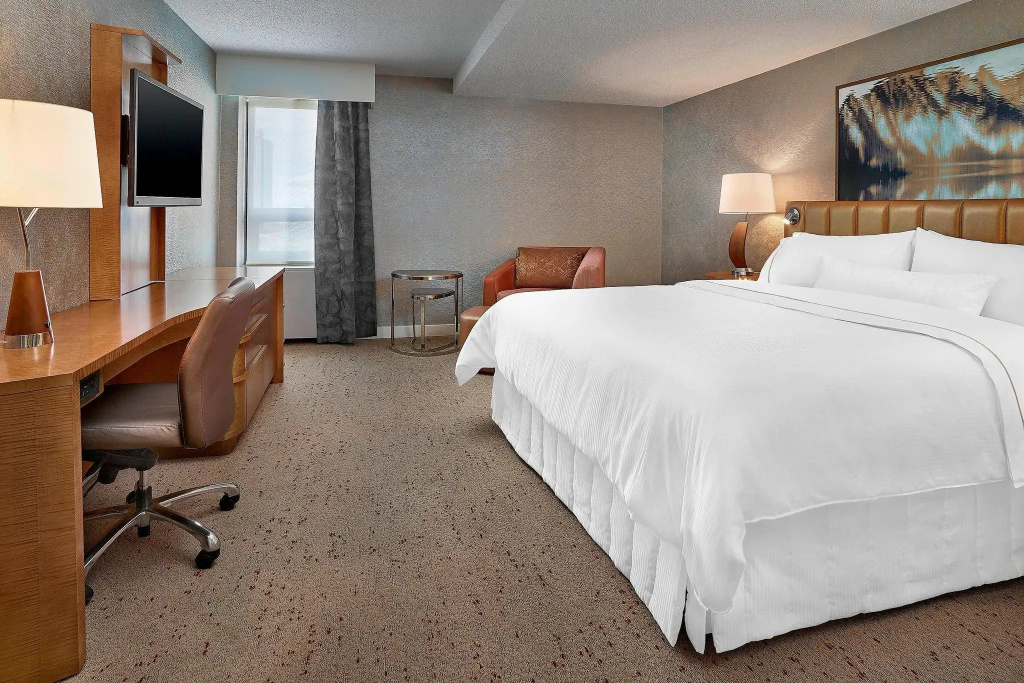Executive Suite with city view