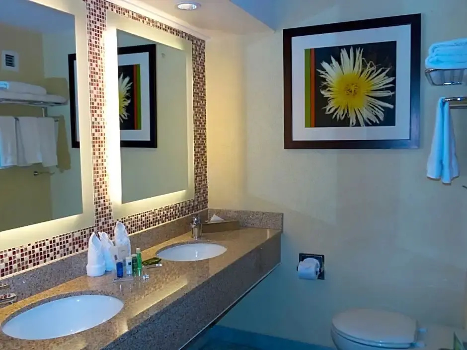 Double room with ocean view (full double bed)