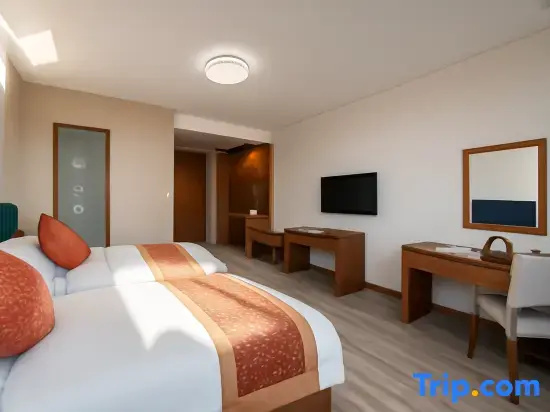Business Double room (twin beds)