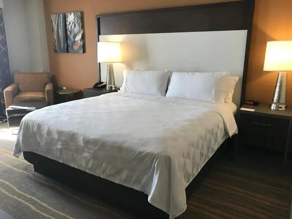 Holiday Inn & Suites Albuquerque-North I-25 by IHG - Chambres