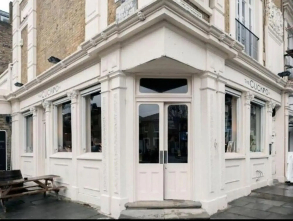 The Cuckoo N1