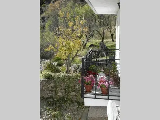 Balcony & Terrace