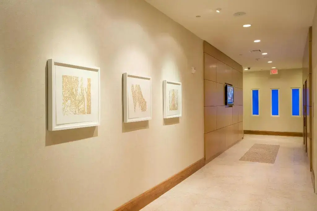 Hilton Garden Inn Dallas Richardson - Général