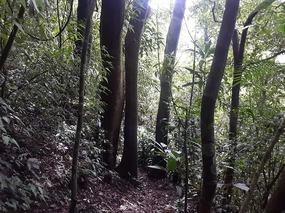 Villas Cipreses - Hostel - фото 9