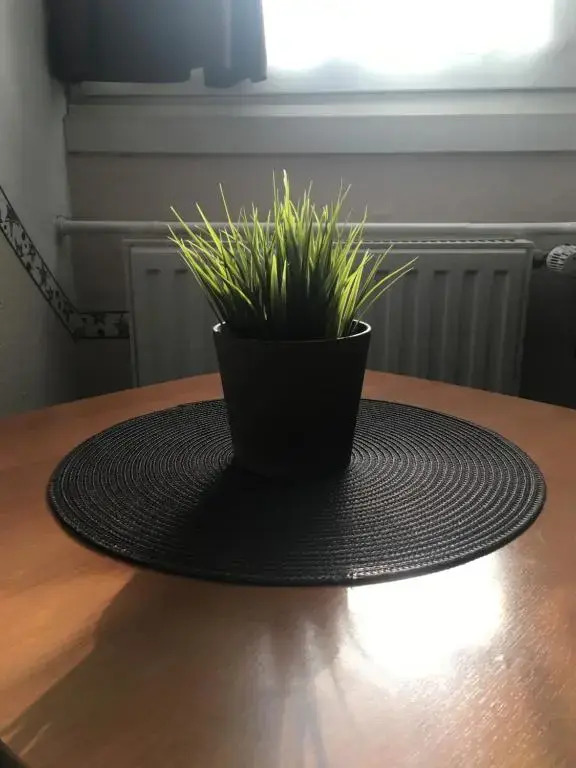 Romantik Étterem - Panzió - фото 15