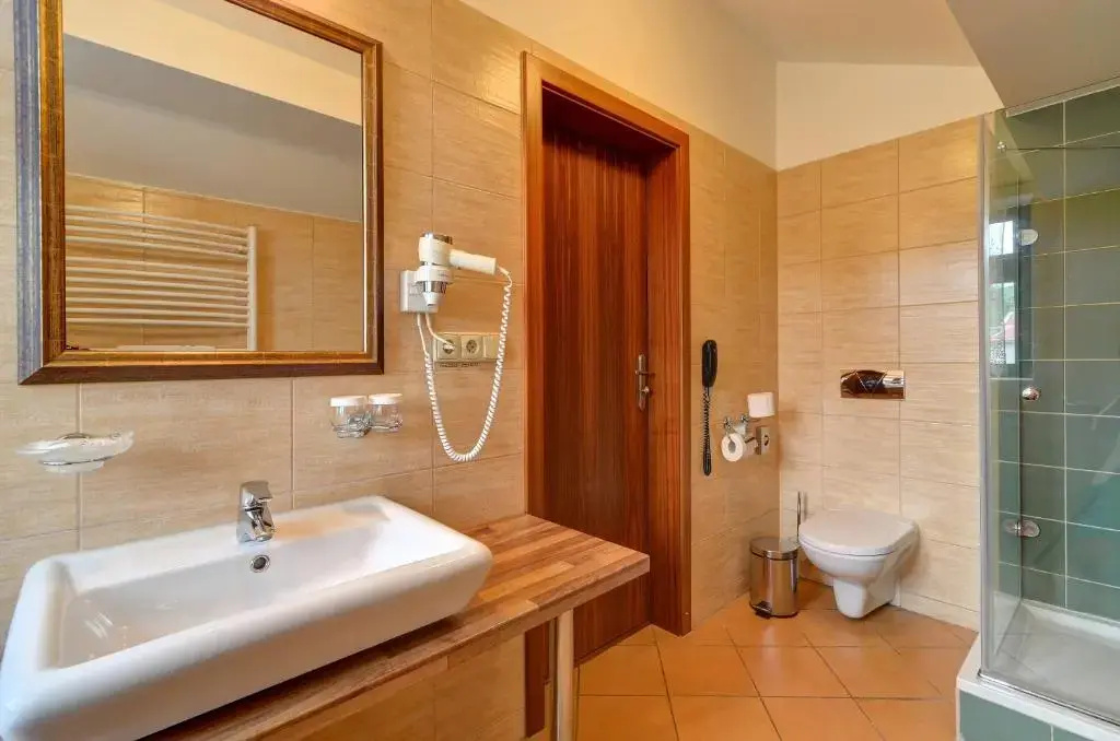Hotel U Pramenu - Chambres