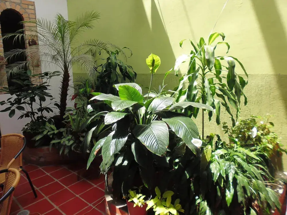 Hotel photo 17