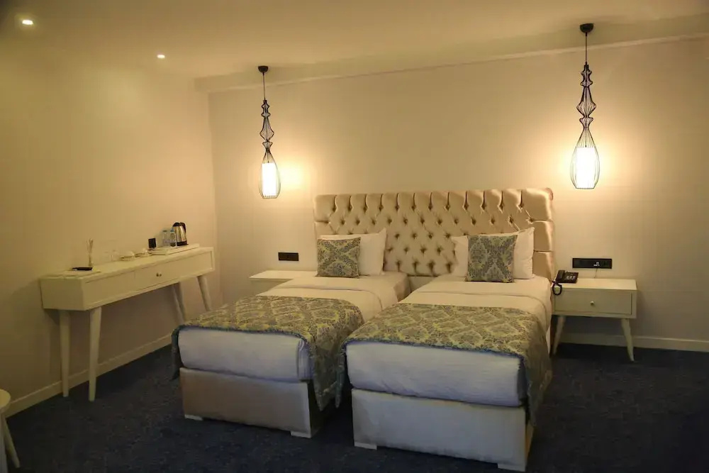 Standard Double room with city view (twin beds)