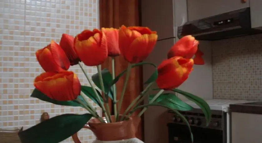 Orange House