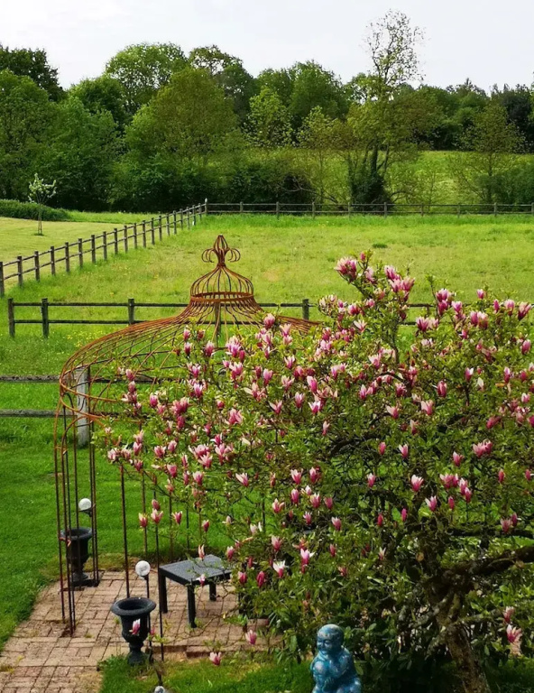 Standard Family room with garden view