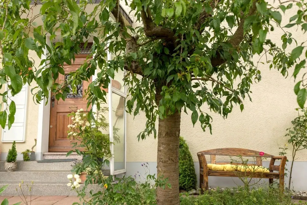 Ferienhaus Domblick Herkenrath