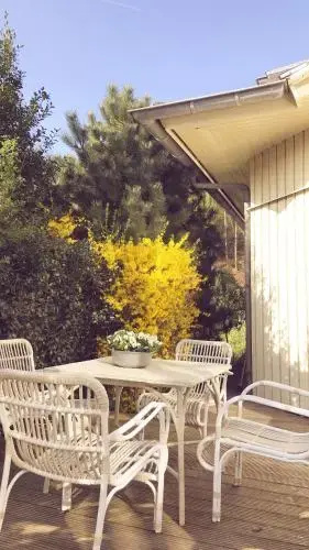 Balcony & Terrace