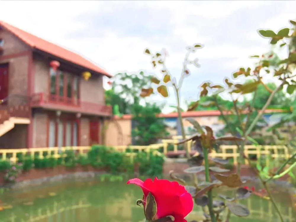 Tam Coc Homestay Ngoc Linh