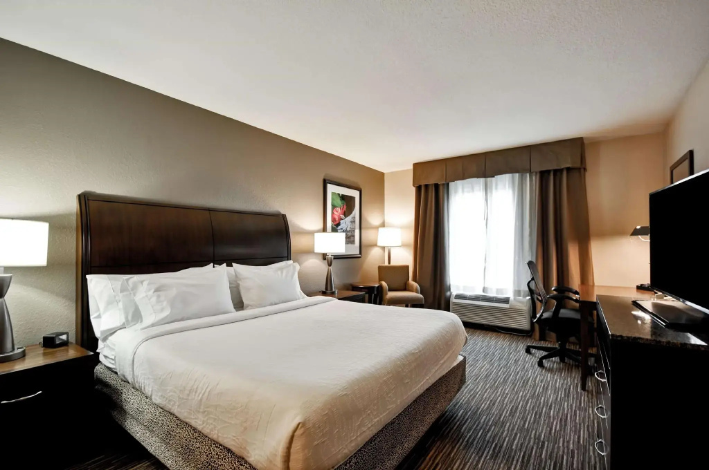 Hilton Garden Inn Tampa North Busch Gardens - Chambres