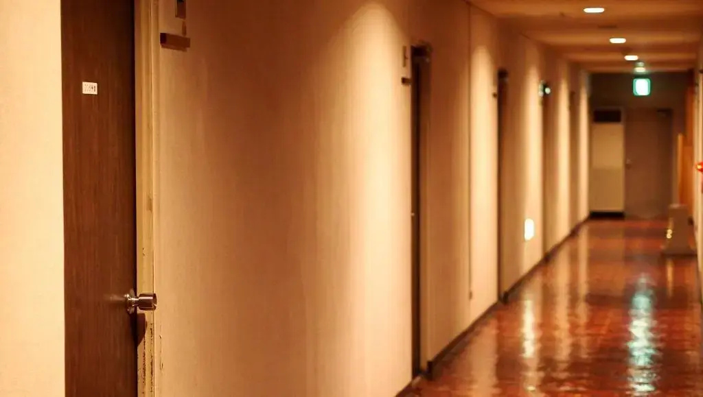 Isawa View Hotel - Chambres