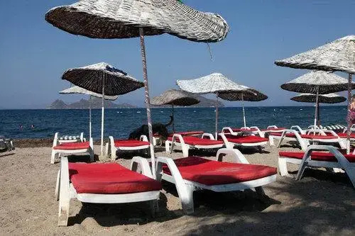 Beach & Waterfront