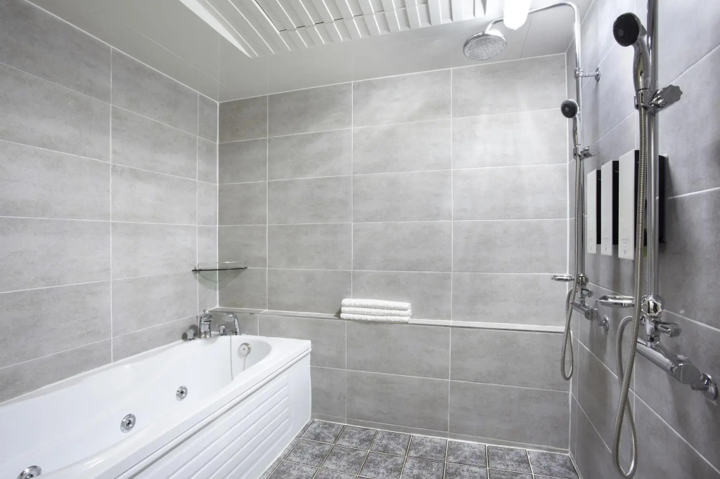Deluxe Double room (twin beds)