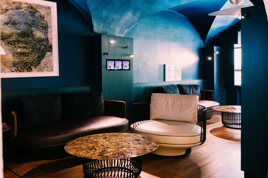 Arthotel Blaue Gans - Général