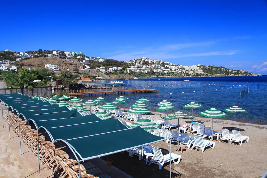 Beach & Waterfront