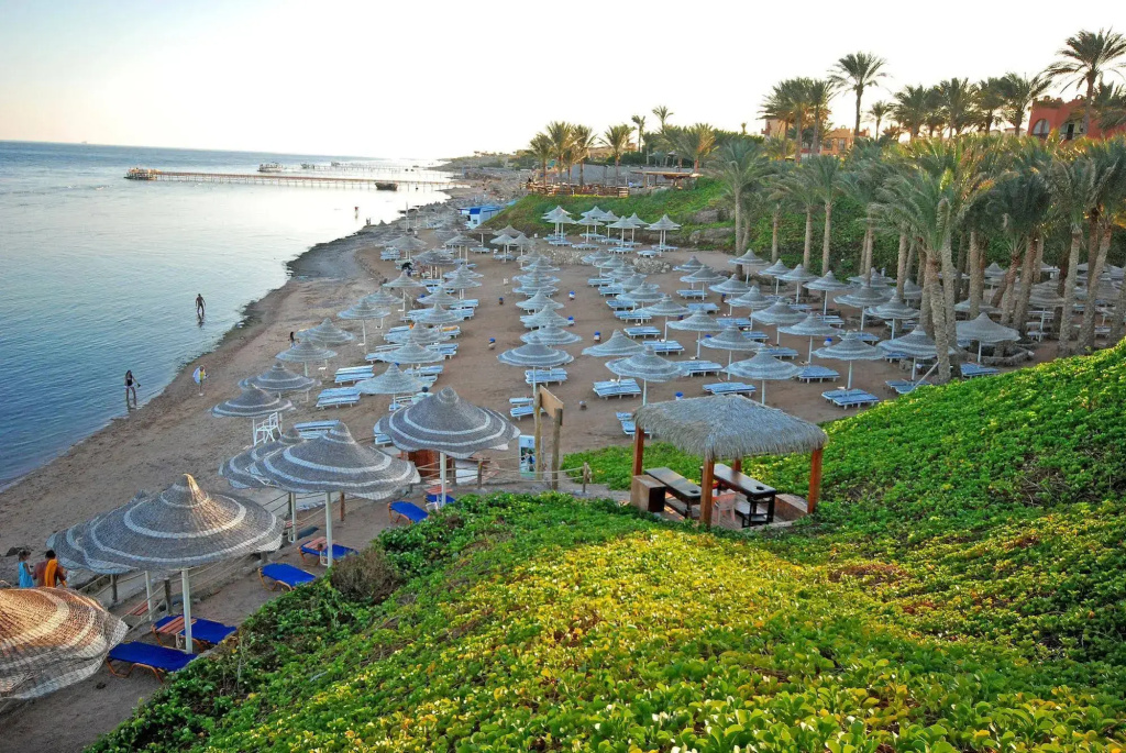 Nubian Island, Families and Couples only: A palm-lined beach with rows of shaded sun loungers beside the water.