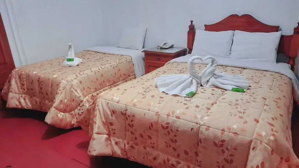 Standard Double room with courtyard view (twin beds)