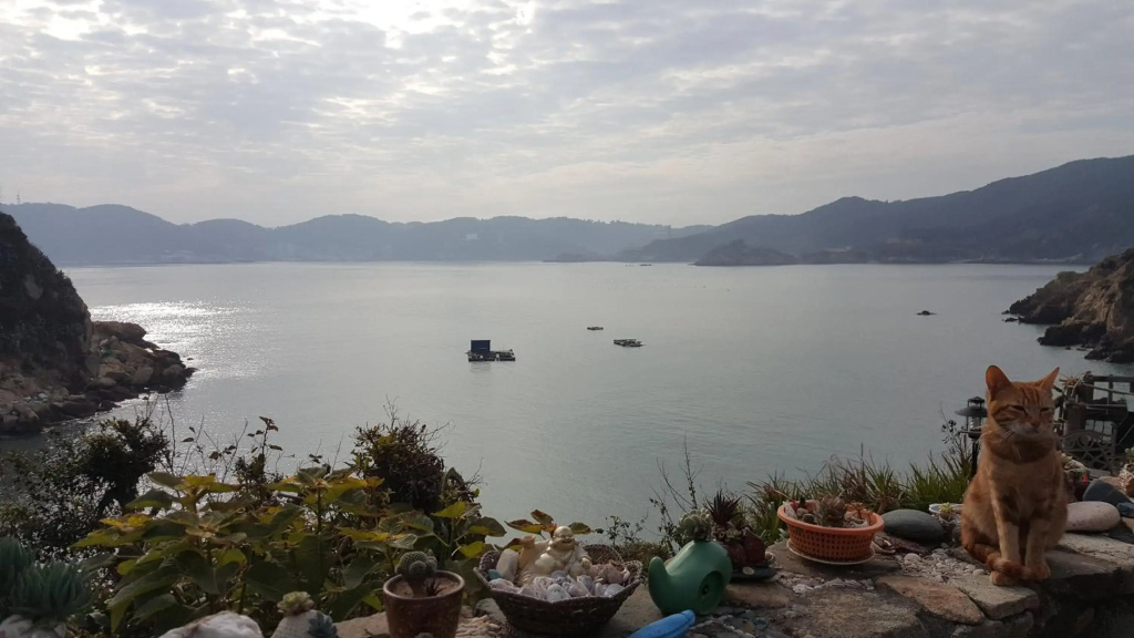 Furen Homestay