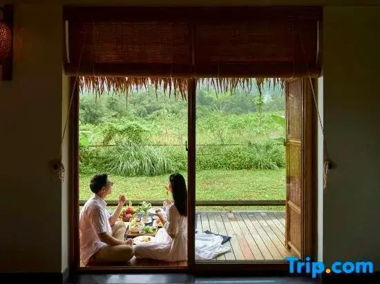 Balcony & Terrace