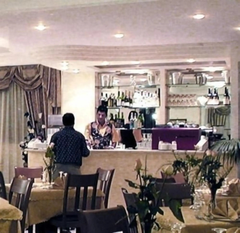 Hotel Alceste - Général