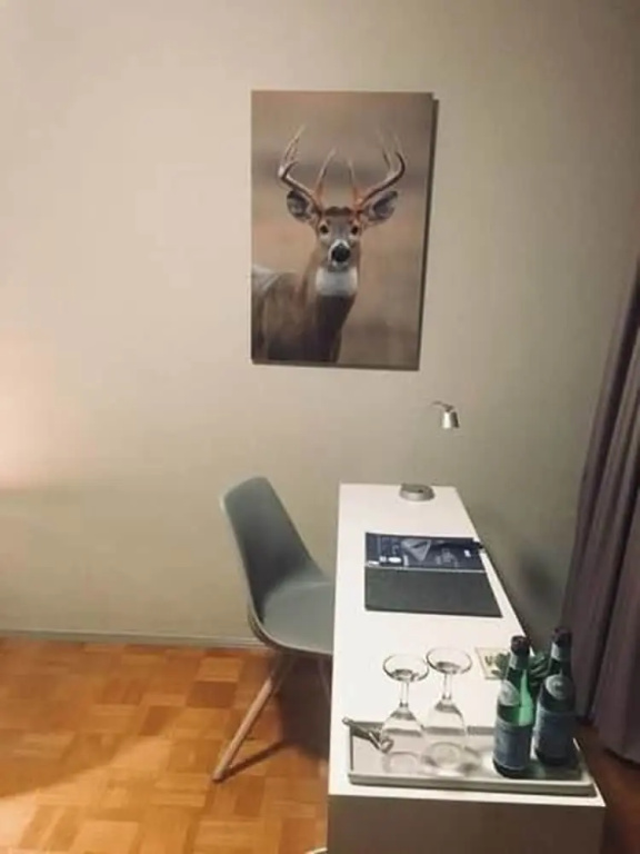 Waldhotel Riesebusch - Chambres