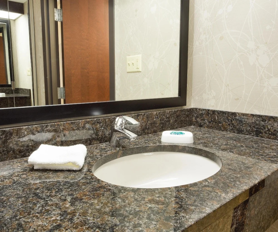 Drury Inn & Suites Greensboro - Chambres