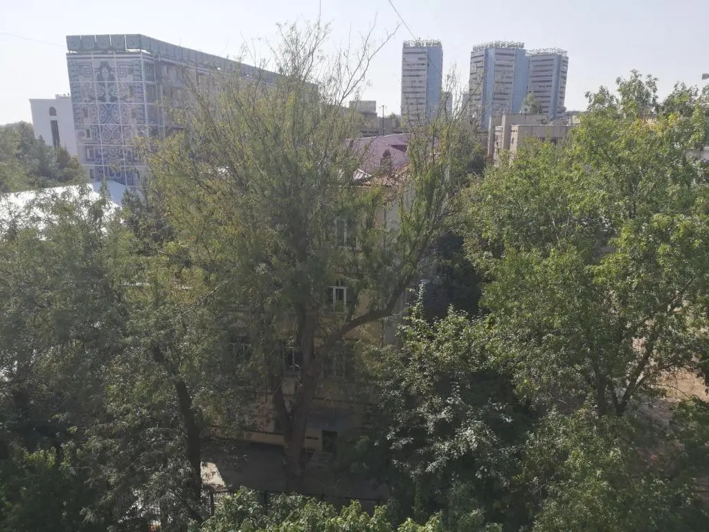 2 bed room Apartment in Center Апартамент в центре 3 комнаты