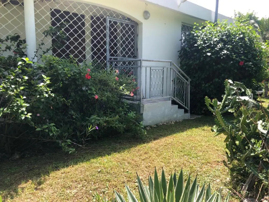 Jardin des Anges-Bungalows creoles et studio